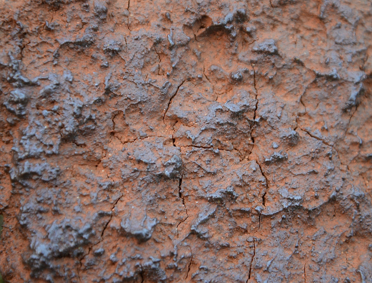 Earth