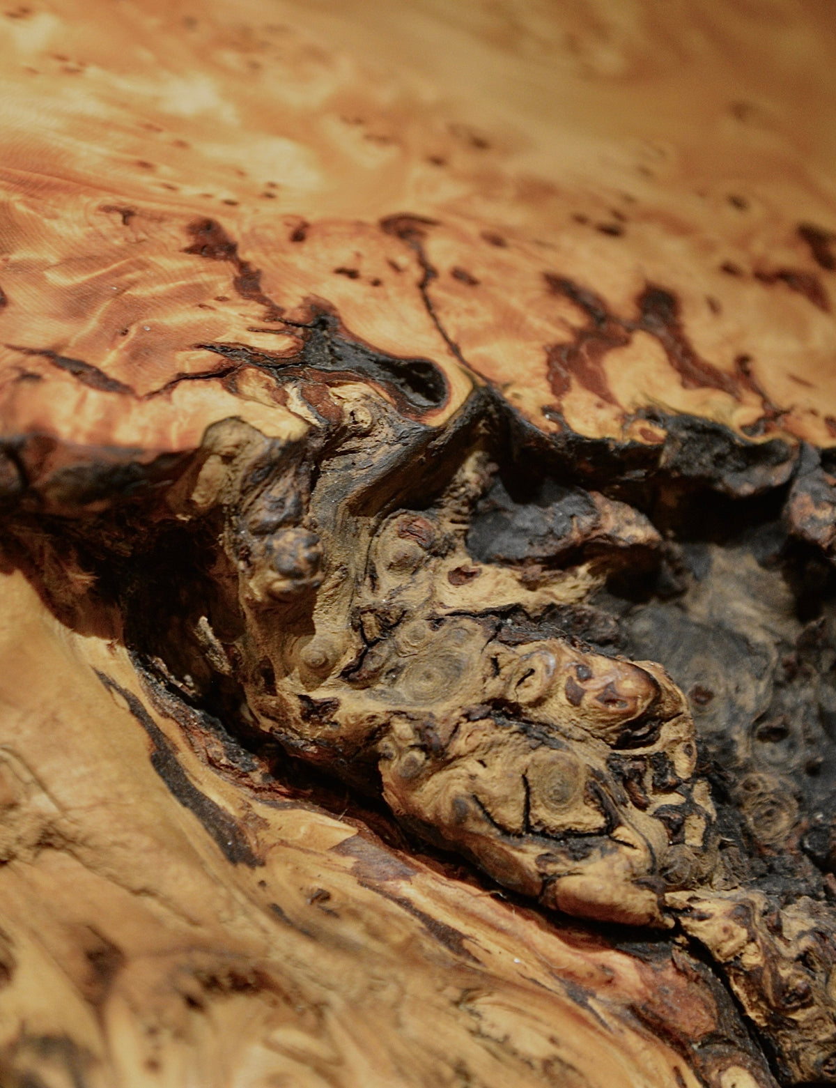 Wood